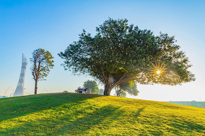 Aspire Park