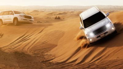 Half Day Desert Safari